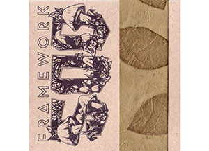 framework 500